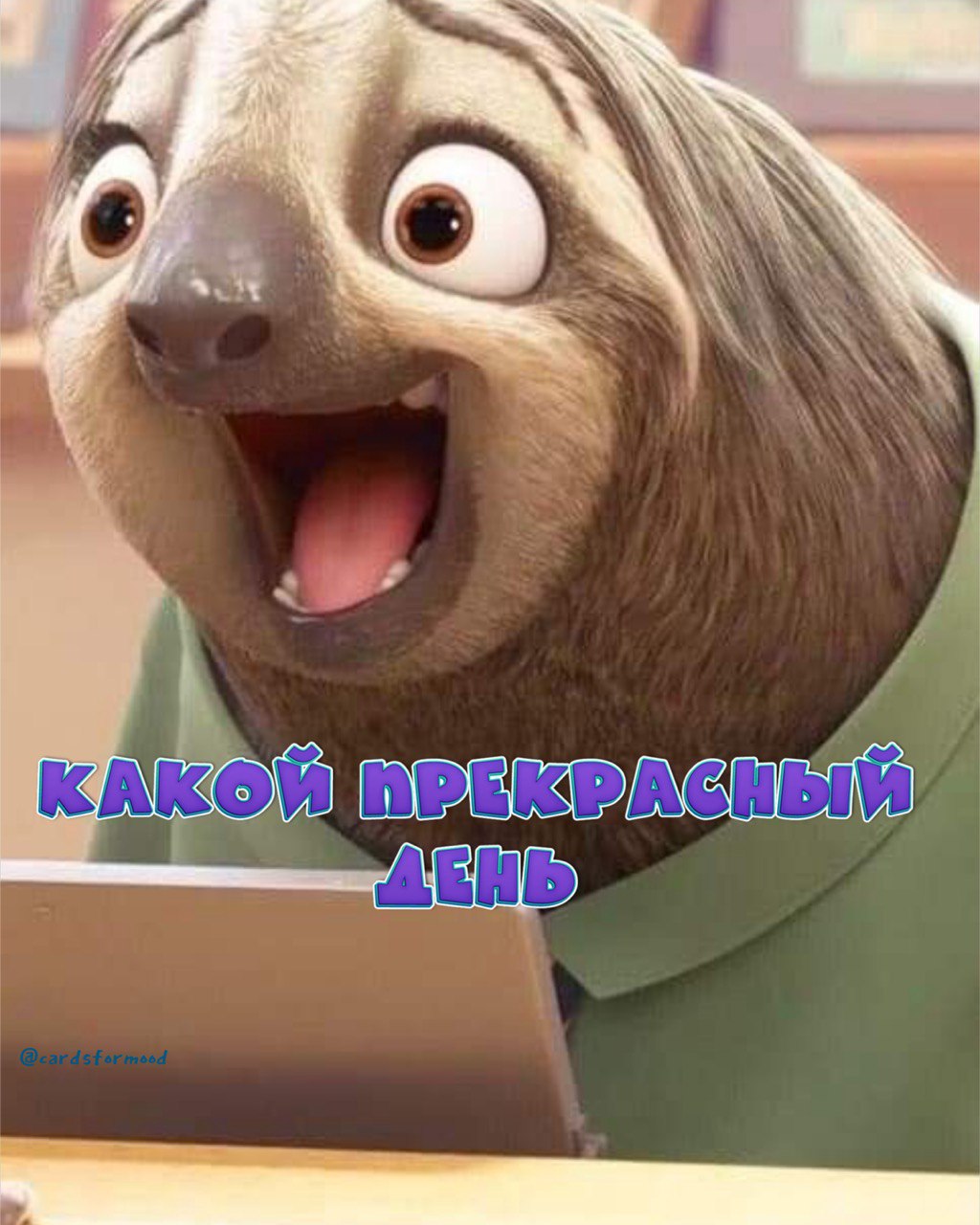 Ленивец мемы