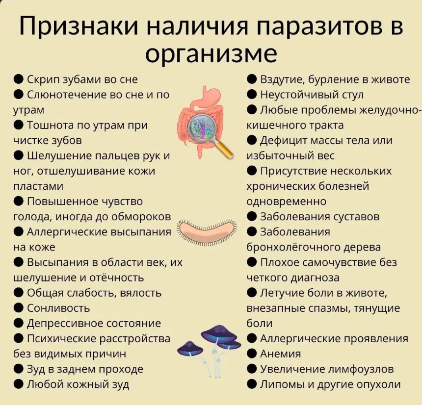 Паразиты признаки симптомы. Симптомы паразитов у человека. Симптомы глистов в организме человека.