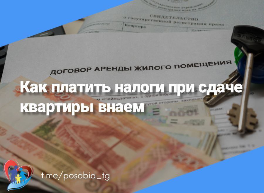 Сдаю квартиру и не плачу налоги