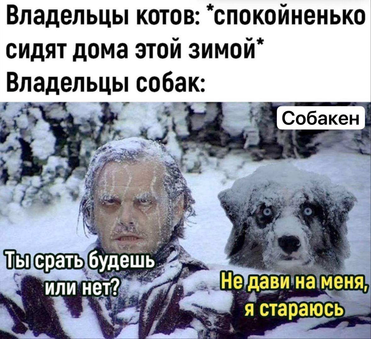 Жизненно 🤣 🤣. 