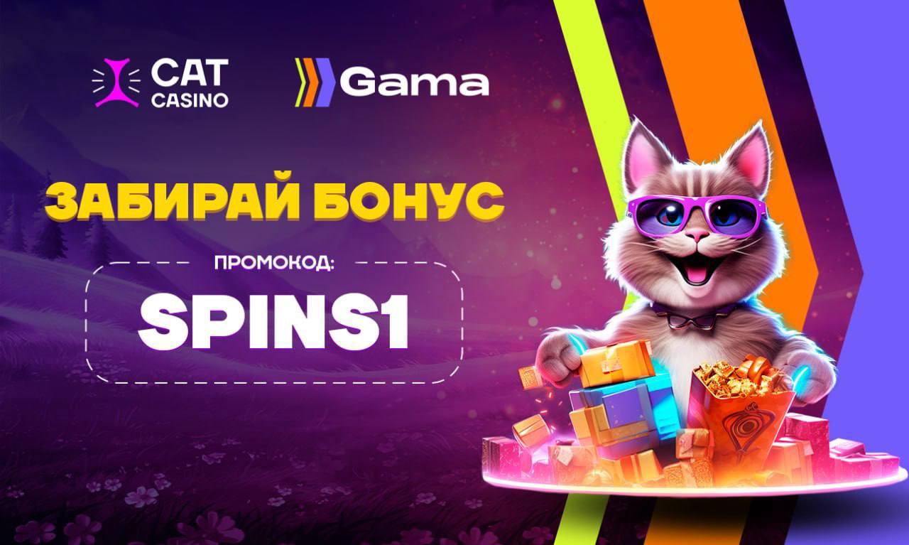 Бонус код cat casino 2024 catcasino2 quest. Промокод Spin. Промокоды в Spinbux 2024.