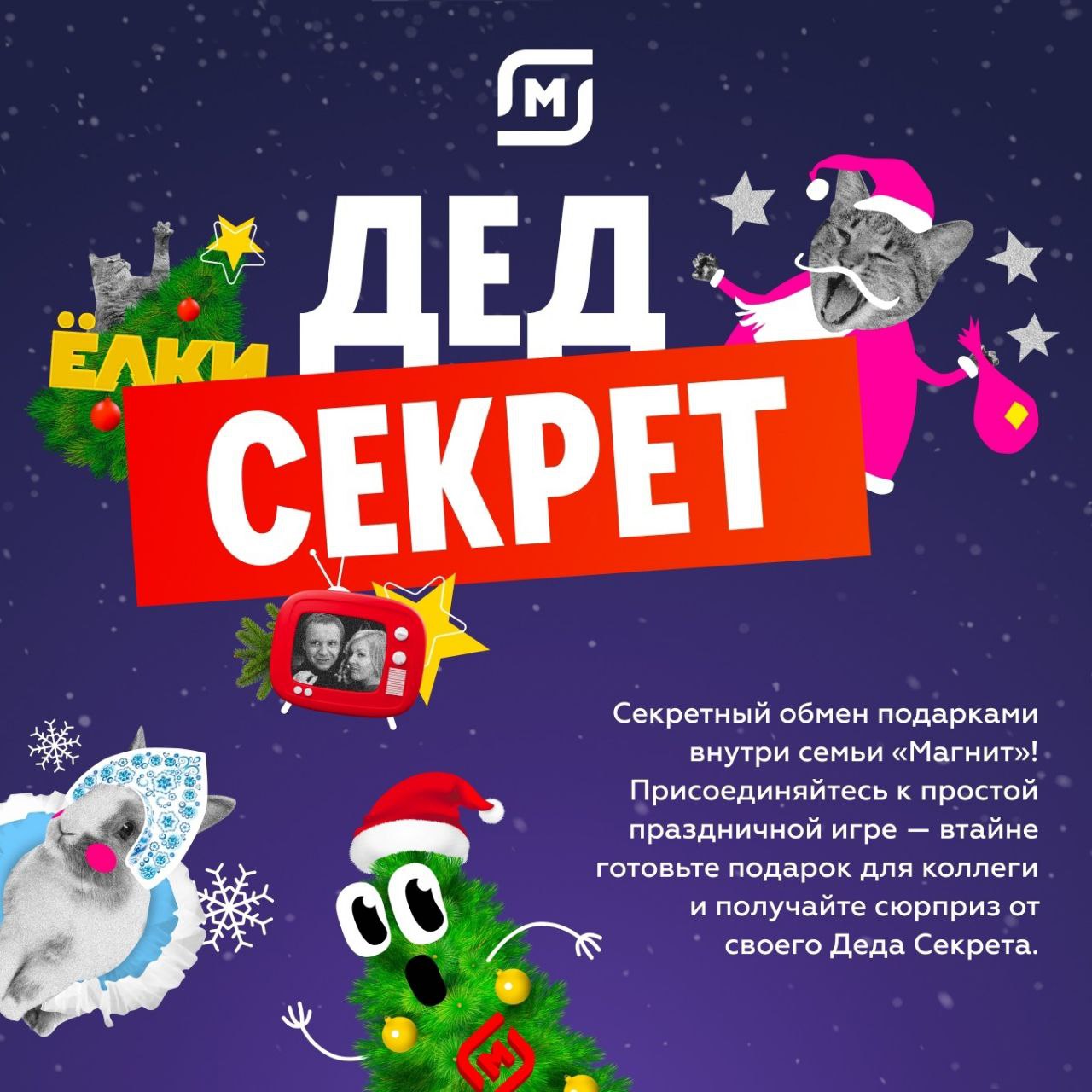 Публикация #1679 — magnit.family (@magnit_family)