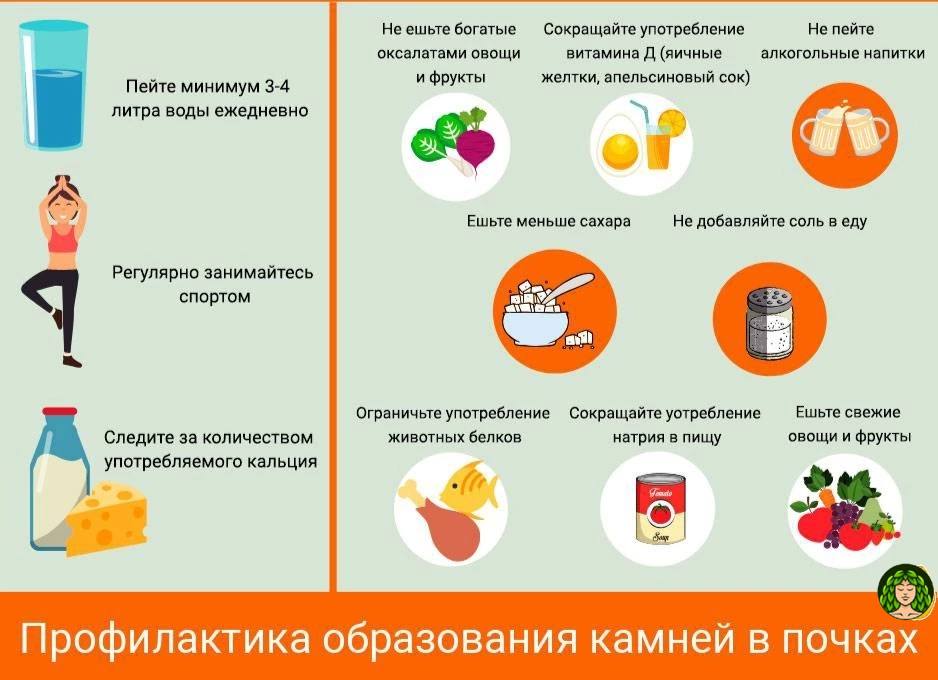 После каких продуктов хочется в туалет