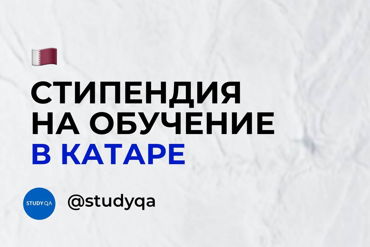 персонажи магистра узнают свое будущее фанфик фото 56