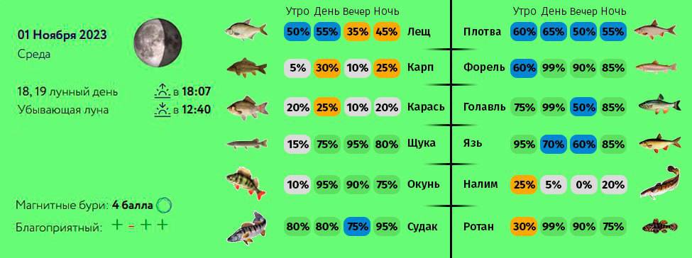 Прогноз на клев рыбы на каме