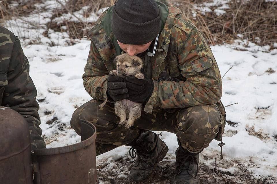 Всу наши котики. Животные на войне в Донбассе. Военные на Украине с животными. Солдаты и животные на войне Украина. Русские солдаты и животные.