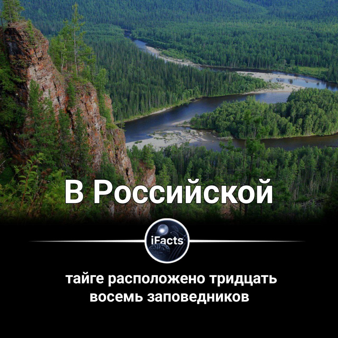 Города находящиеся в тайге