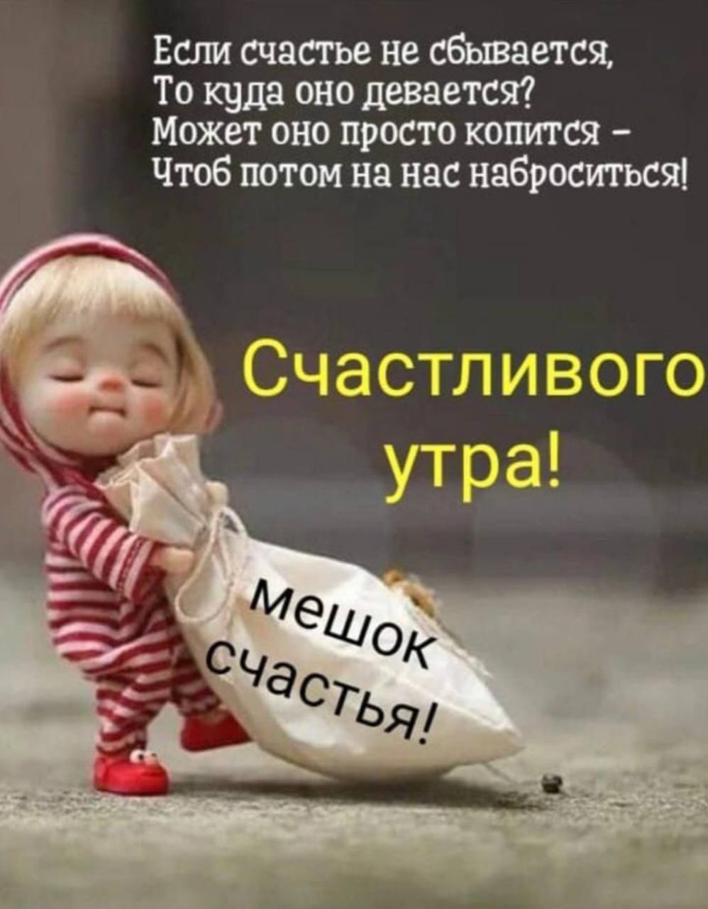 И ни капельки не стыдно И ни капельки не стыдно